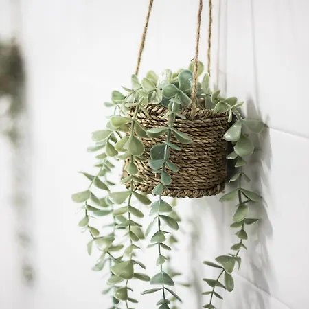 Daire Llaneza 51 Espacioso Playa Y Centro A Pie *